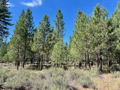 CATCH IT IF YOU CAN... This stunning lot on FOX RUN at NAKOMA! on Nakoma Golf Resort in California - for sale on GolfHomes.com, golf home, golf lot