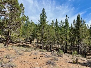 CATCH IT IF YOU CAN... This stunning lot on FOX RUN at NAKOMA! on Nakoma Golf Resort in California - for sale on GolfHomes.com, golf home, golf lot