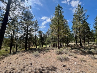 CATCH IT IF YOU CAN... This stunning lot on FOX RUN at NAKOMA! on Nakoma Golf Resort in California - for sale on GolfHomes.com, golf home, golf lot