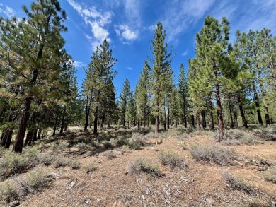 CATCH IT IF YOU CAN... This stunning lot on FOX RUN at NAKOMA! on Nakoma Golf Resort in California - for sale on GolfHomes.com, golf home, golf lot