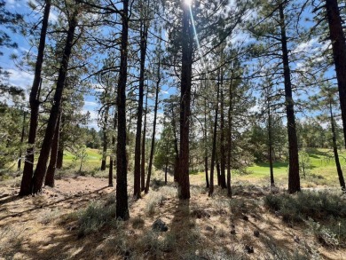CATCH IT IF YOU CAN... This stunning lot on FOX RUN at NAKOMA! on Nakoma Golf Resort in California - for sale on GolfHomes.com, golf home, golf lot