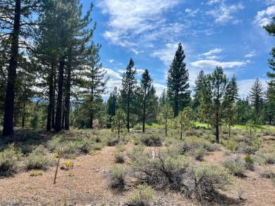 CATCH IT IF YOU CAN... This stunning lot on FOX RUN at NAKOMA! on Nakoma Golf Resort in California - for sale on GolfHomes.com, golf home, golf lot