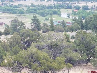 Connie Goodnight, Land Properties, LLC, C: , connie,  : The on Rio Grande Golf Club in Colorado - for sale on GolfHomes.com, golf home, golf lot