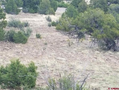Connie Goodnight, Land Properties, LLC, C: , connie,  : The on Rio Grande Golf Club in Colorado - for sale on GolfHomes.com, golf home, golf lot