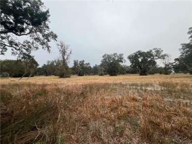 The exceptional marsh views from this 0.84 acre homesite make it on Sapelo Hammock Golf Club in Georgia - for sale on GolfHomes.com, golf home, golf lot