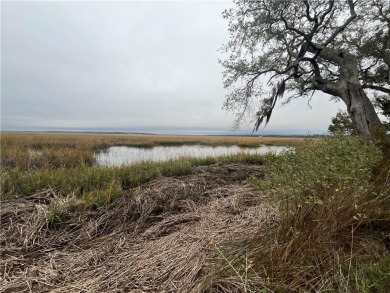The exceptional marsh views from this 0.84 acre homesite make it on Sapelo Hammock Golf Club in Georgia - for sale on GolfHomes.com, golf home, golf lot