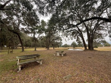 The exceptional marsh views from this 0.84 acre homesite make it on Sapelo Hammock Golf Club in Georgia - for sale on GolfHomes.com, golf home, golf lot
