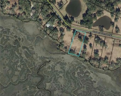 The exceptional marsh views from this 0.84 acre homesite make it on Sapelo Hammock Golf Club in Georgia - for sale on GolfHomes.com, golf home, golf lot