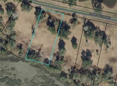 The exceptional marsh views from this 0.84 acre homesite make it on Sapelo Hammock Golf Club in Georgia - for sale on GolfHomes.com, golf home, golf lot