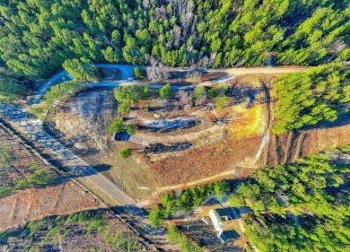 3.44 Acres! This unique investment opportunity is extremely on Rayburn Country Club in Texas - for sale on GolfHomes.com, golf home, golf lot