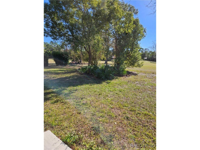 55 Chinaberry Circle is a charming single-family home located on on Sugarmill Woods Golf and Country Club in Florida - for sale on GolfHomes.com, golf home, golf lot