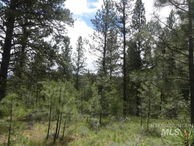 Looking for the perfect lot to build your dream cabin? This on Cascade Golf Course in Idaho - for sale on GolfHomes.com, golf home, golf lot