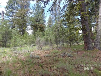 Looking for the perfect lot to build your dream cabin? This on Cascade Golf Course in Idaho - for sale on GolfHomes.com, golf home, golf lot