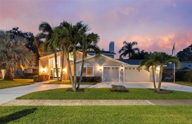 Welcome home to 2956 Meadow Hill Drive featuring some of the on Countryside Country Club in Florida - for sale on GolfHomes.com, golf home, golf lot