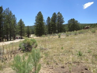 Lot 1241 has the ideal golf course neighborhood location without on Angel Fire Resort Country Club in New Mexico - for sale on GolfHomes.com, golf home, golf lot