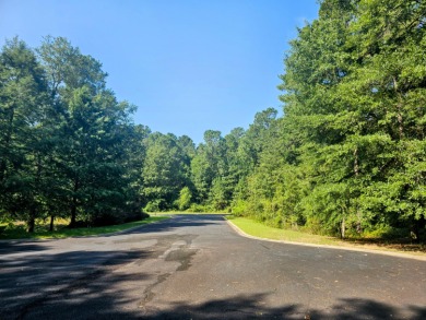 Large combined double lot (over 1.2 acres) that is primarily on The Golf Club At Cedar Creek in South Carolina - for sale on GolfHomes.com, golf home, golf lot