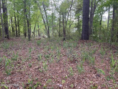 Build your new home on this wooded property in Lake Minnesott on Minnesott Golf and Country Club in North Carolina - for sale on GolfHomes.com, golf home, golf lot