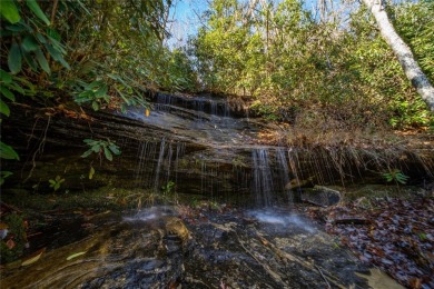Welcome to your future mountain escape! This generously sized 2 on Sapphire National Golf Club in North Carolina - for sale on GolfHomes.com, golf home, golf lot