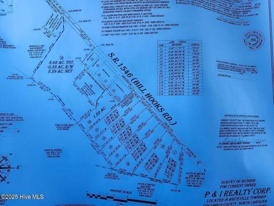 Great opportunity to own a move in ready, new construction on Land-O-Lakes Golf Course in North Carolina - for sale on GolfHomes.com, golf home, golf lot