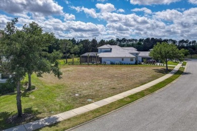 Build your dream home with breathtaking golf and water views! on Conservatory Course At Hammock Beach Resort in Florida - for sale on GolfHomes.com, golf home, golf lot