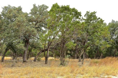 Take advantage of this incredible opportunity to own 3 on Slick Rock Golf Course - Horseshoe Bay in Texas - for sale on GolfHomes.com, golf home, golf lot