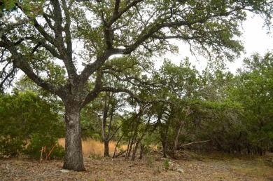 Take advantage of this incredible opportunity to own 3 on Slick Rock Golf Course - Horseshoe Bay in Texas - for sale on GolfHomes.com, golf home, golf lot