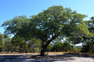 Take advantage of this incredible opportunity to own 3 on Slick Rock Golf Course - Horseshoe Bay in Texas - for sale on GolfHomes.com, golf home, golf lot