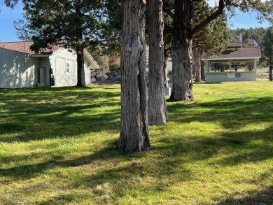 Highly sought after corner lot......with sewer (buyer to verify) on Lake Shastina Golf Course in California - for sale on GolfHomes.com, golf home, golf lot