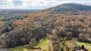 Discover the perfect canvas for your dream home with this on The Orchard Golf and Country Club in Georgia - for sale on GolfHomes.com, golf home, golf lot