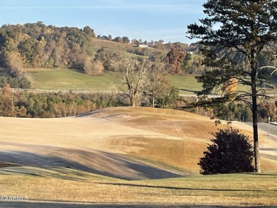 $55,000 for all three. Golf, Boat, Hike, you decide.  This on Woodlake Golf Club in Tennessee - for sale on GolfHomes.com, golf home, golf lot