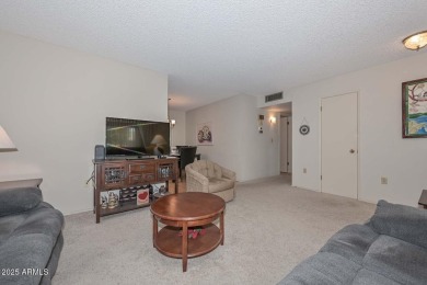 This welcoming ''Gemini'' Home features 2 Bedrooms, 2 Baths and on Sun City Lakes West and East in Arizona - for sale on GolfHomes.com, golf home, golf lot