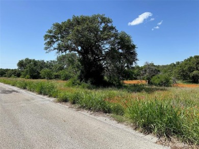 Lot 1079 in the Kings Point Cove Resort Community is a large on Hideout Golf Club and Resort  in Texas - for sale on GolfHomes.com, golf home, golf lot