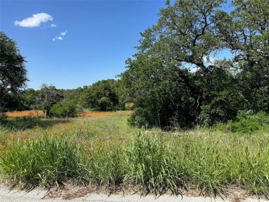 Lot 1079 in the Kings Point Cove Resort Community is a large on Hideout Golf Club and Resort  in Texas - for sale on GolfHomes.com, golf home, golf lot