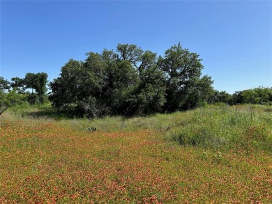 Lot 1079 in the Kings Point Cove Resort Community is a large on Hideout Golf Club and Resort  in Texas - for sale on GolfHomes.com, golf home, golf lot