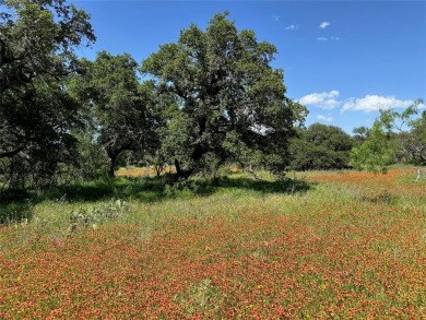 Lot 1079 in the Kings Point Cove Resort Community is a large on Hideout Golf Club and Resort  in Texas - for sale on GolfHomes.com, golf home, golf lot