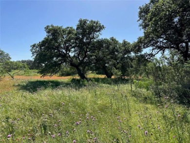 Lot 1079 in the Kings Point Cove Resort Community is a large on Hideout Golf Club and Resort  in Texas - for sale on GolfHomes.com, golf home, golf lot