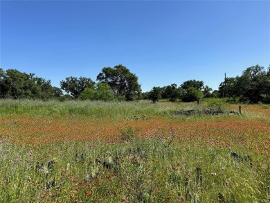 Lot 1079 in the Kings Point Cove Resort Community is a large on Hideout Golf Club and Resort  in Texas - for sale on GolfHomes.com, golf home, golf lot