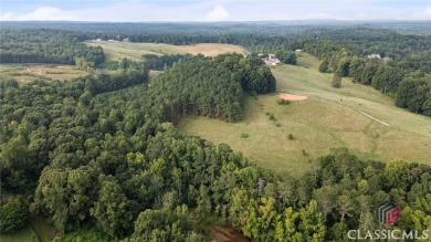 Affordable and Adorable Lake Lanier Living! on Chestatee Golf Club in Georgia - for sale on GolfHomes.com, golf home, golf lot