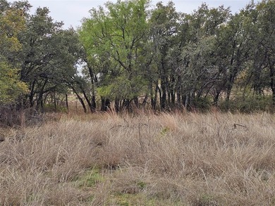 Build your dream home on this beautiful half-acre waterfront lot on Hideout Golf Club and Resort  in Texas - for sale on GolfHomes.com, golf home, golf lot