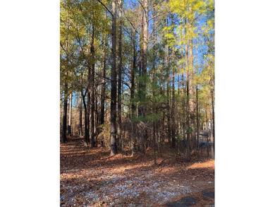 East side lot near Isabella Golf Course.  Hot Springs Village is on Isabella Golf Course  in Arkansas - for sale on GolfHomes.com, golf home, golf lot