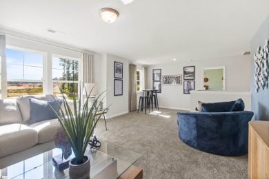 Welcome HOME to the Beautiful SHILOH floorplan in Zane's Creek! on Woodfin Ridge Golf Club in South Carolina - for sale on GolfHomes.com, golf home, golf lot