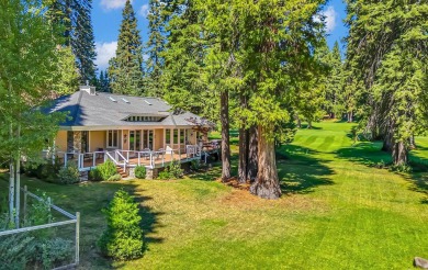 Perfectly situated along the par-3 4th hole In the Lake Almanor on Lake Almanor Country Club in California - for sale on GolfHomes.com, golf home, golf lot