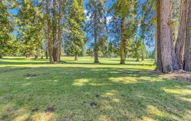 Perfectly situated along the par-3 4th hole In the Lake Almanor on Lake Almanor Country Club in California - for sale on GolfHomes.com, golf home, golf lot