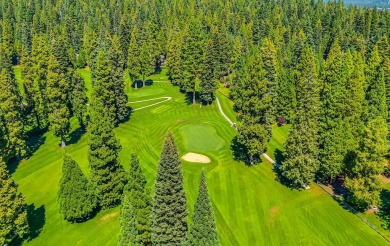 Perfectly situated along the par-3 4th hole In the Lake Almanor on Lake Almanor Country Club in California - for sale on GolfHomes.com, golf home, golf lot