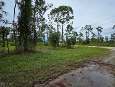 This 0.30-acres, Oversized lot, offers ample space to build your on Mirror Lakes Golf Club in Florida - for sale on GolfHomes.com, golf home, golf lot