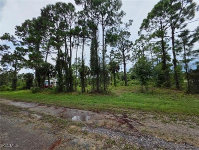 This 0.30-acres, Oversized lot, offers ample space to build your on Mirror Lakes Golf Club in Florida - for sale on GolfHomes.com, golf home, golf lot