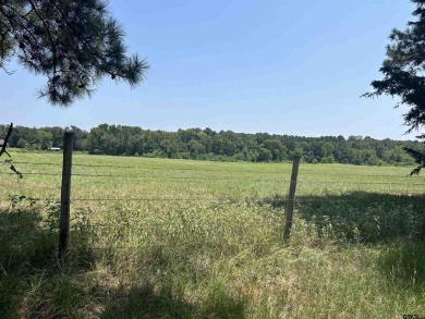 BEAUTIFUL TRACT OF LAND WITH PLENTY OF ROAD FRONTAGE ON HWY 135 on Hilltop Country Club in Texas - for sale on GolfHomes.com, golf home, golf lot