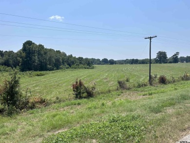 BEAUTIFUL TRACT OF LAND WITH PLENTY OF ROAD FRONTAGE ON HWY 135 on Hilltop Country Club in Texas - for sale on GolfHomes.com, golf home, golf lot