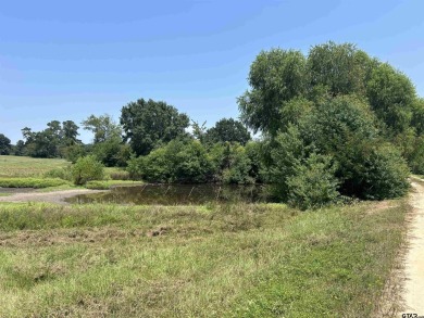 BEAUTIFUL TRACT OF LAND WITH PLENTY OF ROAD FRONTAGE ON HWY 135 on Hilltop Country Club in Texas - for sale on GolfHomes.com, golf home, golf lot