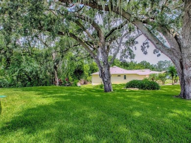Welcome home to PENNBROOKE FAIRWAYS, an active 55 plus gated on Pennbrooke Fairways in Florida - for sale on GolfHomes.com, golf home, golf lot